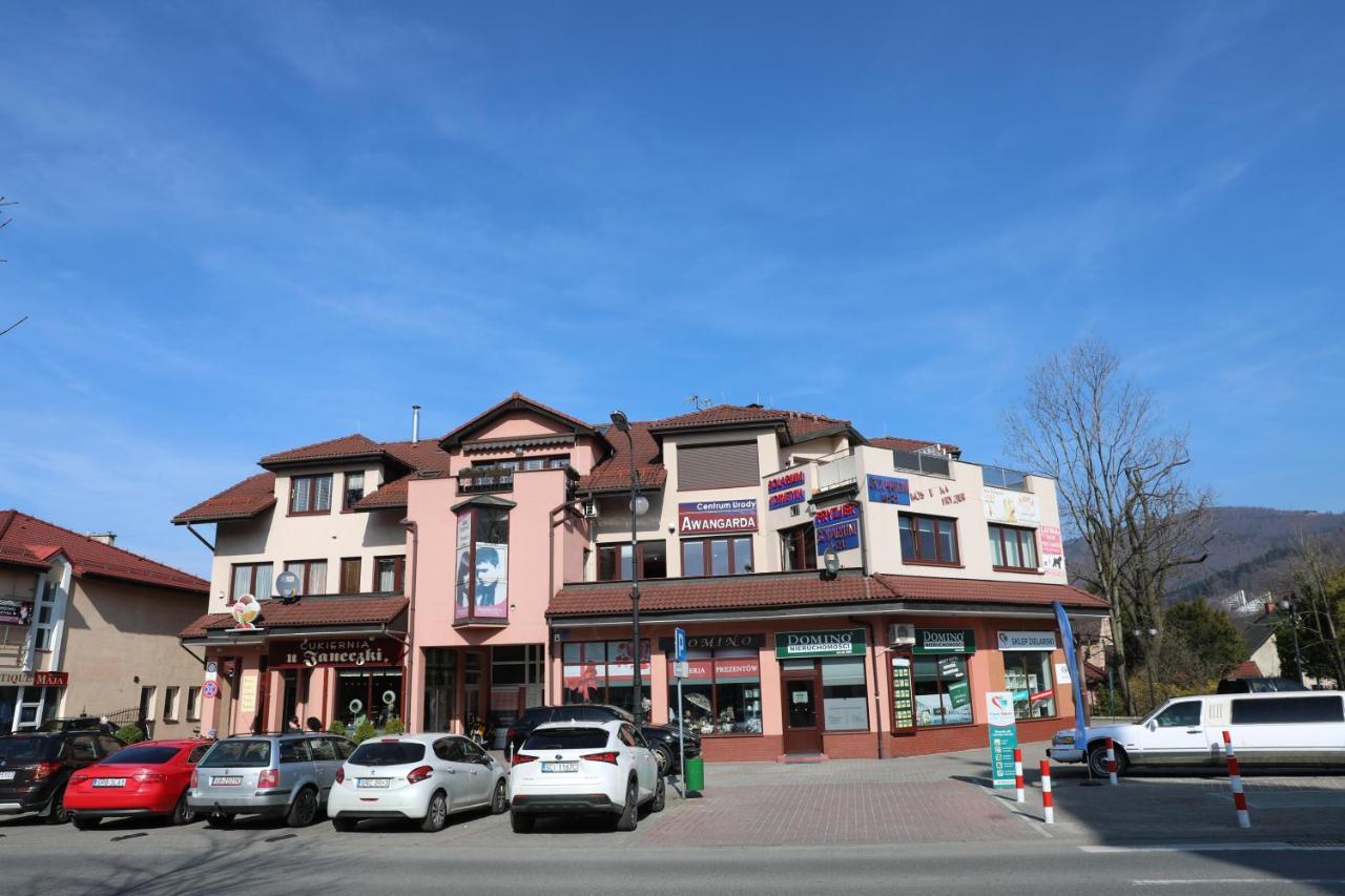 Czantoria View Apartment